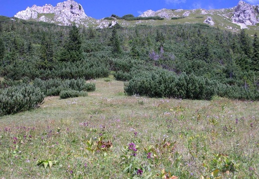 DSCN1542