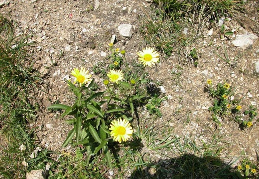 DSCN1548