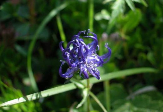 DSCN1557