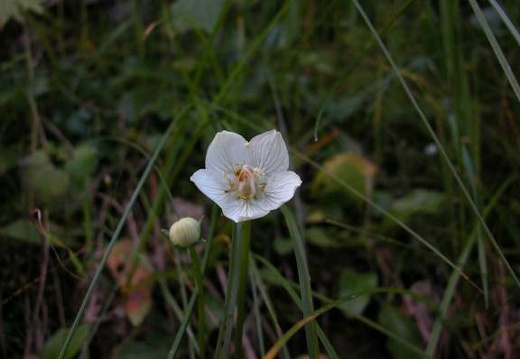 DSCN1575