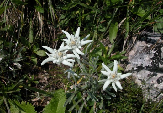 DSCN1599