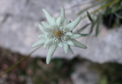 DSCN1603
