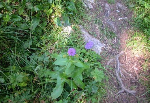 DSCN1628