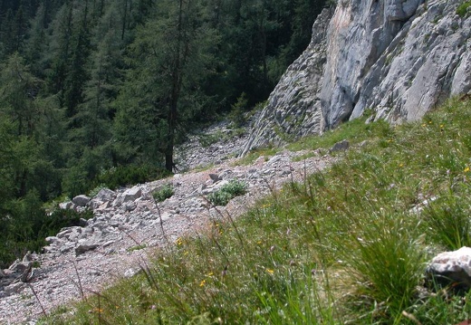 DSCN1627