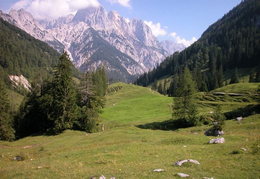 DSCN1636