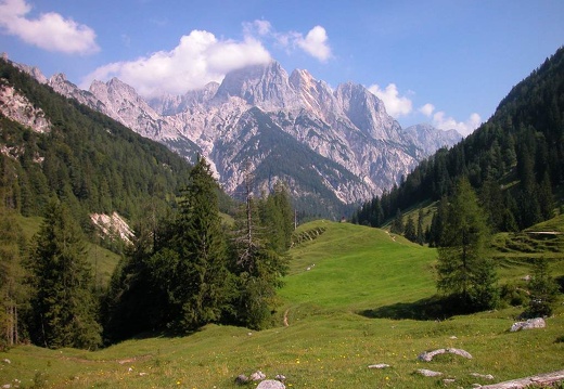 DSCN1637