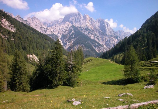 DSCN1638