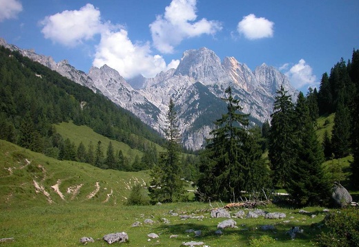 DSCN1646