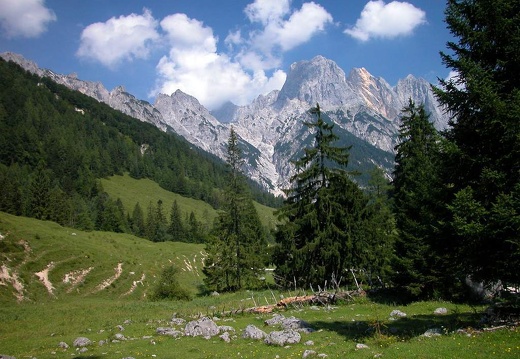 DSCN1647