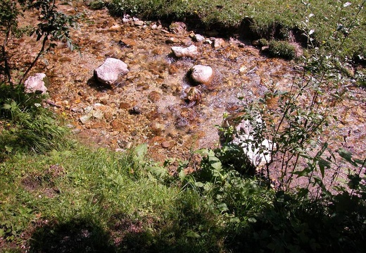 DSCN1648