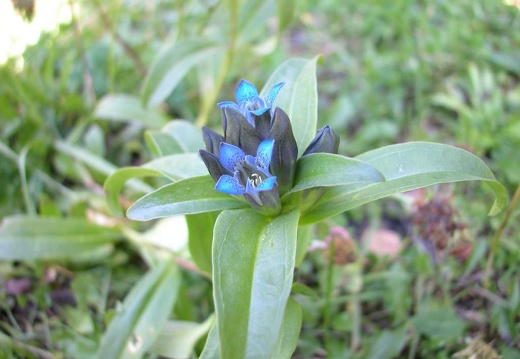 DSCN1650