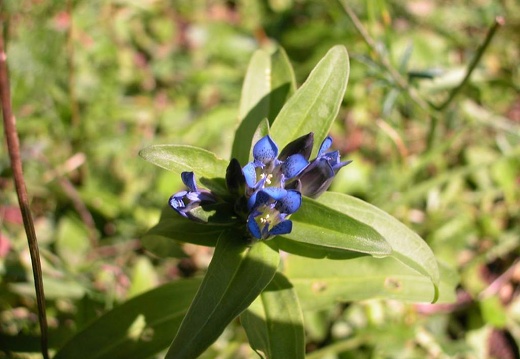 DSCN1654