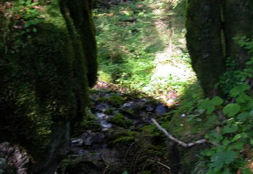 DSCN1658
