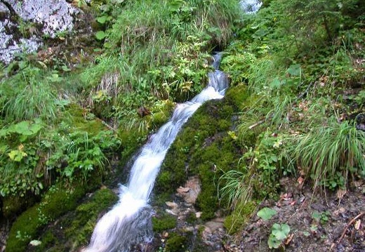 DSCN1659