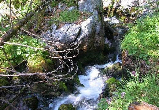 DSCN1660