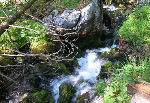 DSCN1661