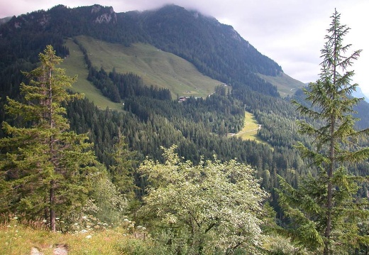 DSCN1720