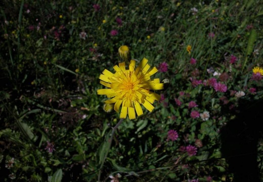 DSCN2777