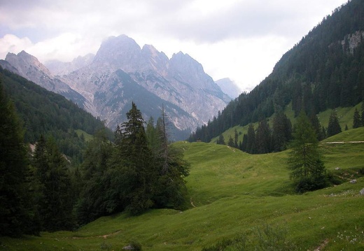 DSCN2808