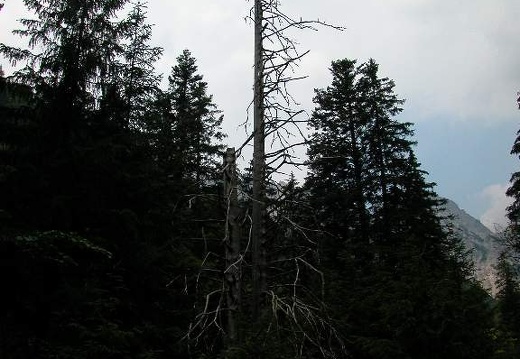 DSCN2814