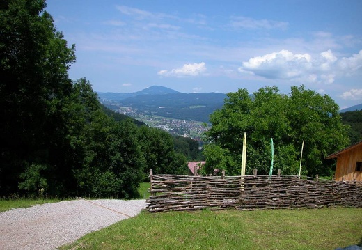 DSCN2861