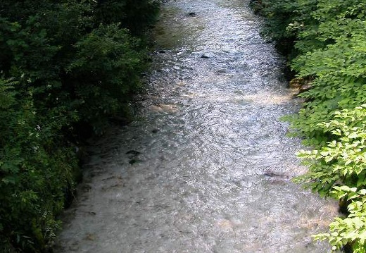 DSCN2866