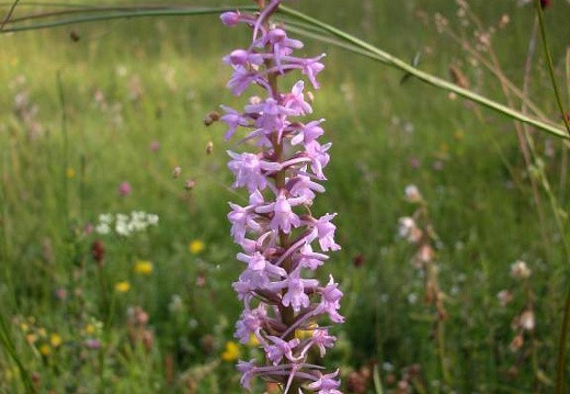 DSCN2872