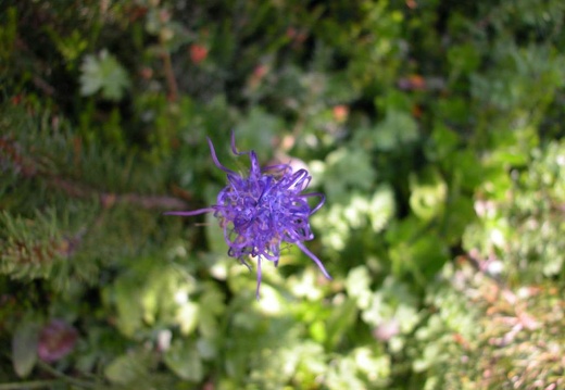 DSCN3022