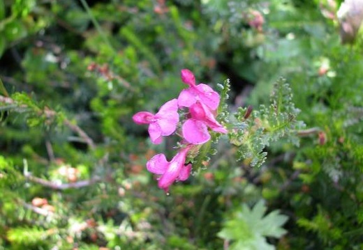 DSCN3023
