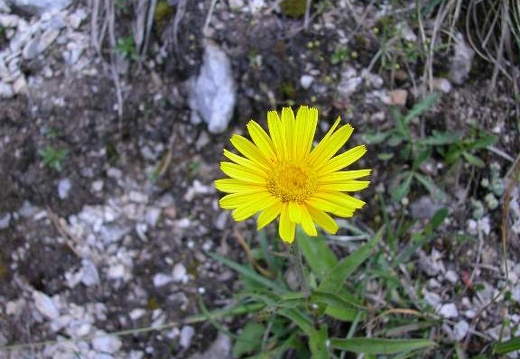 DSCN3028