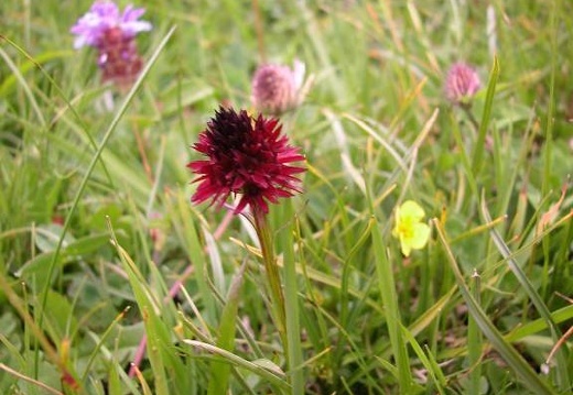 DSCN3038