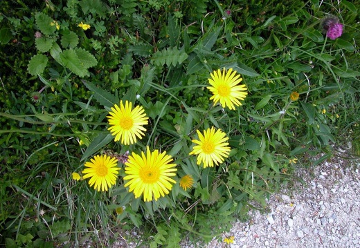 DSCN3055