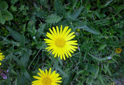 DSCN3056