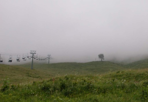 DSCN3068
