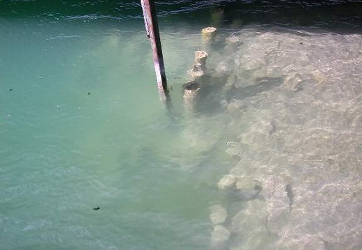 DSCN3080