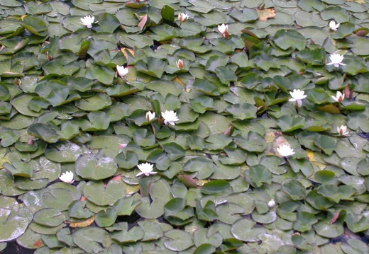 DSCN3095