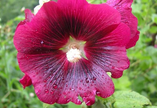 DSCN3108