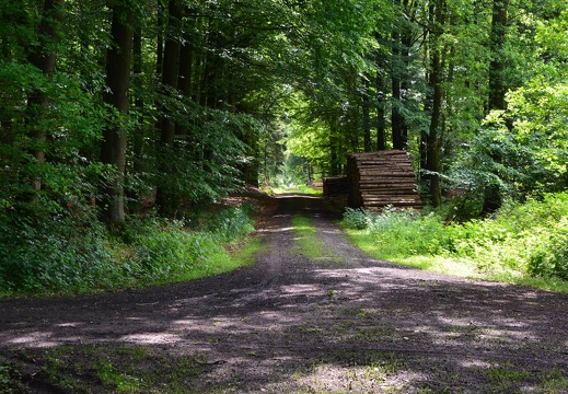 Wanderwege