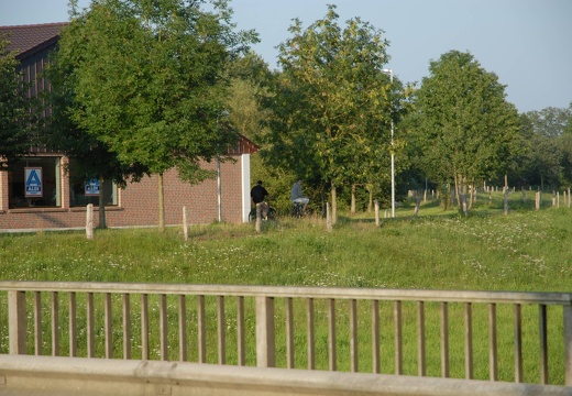 DSF 5982