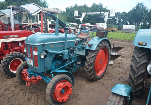 DSO 1131