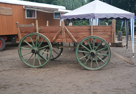 DSO 1135