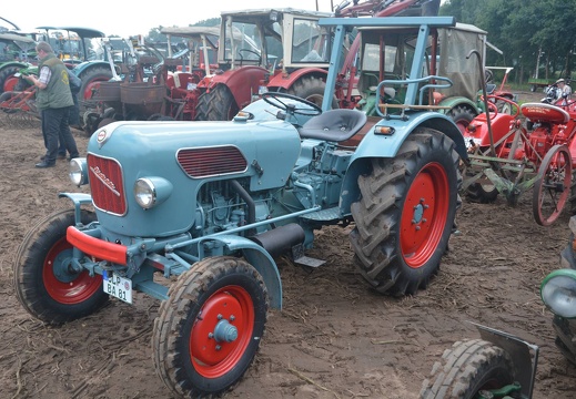 DSO 1137