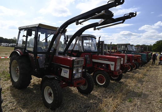  DSQ4480