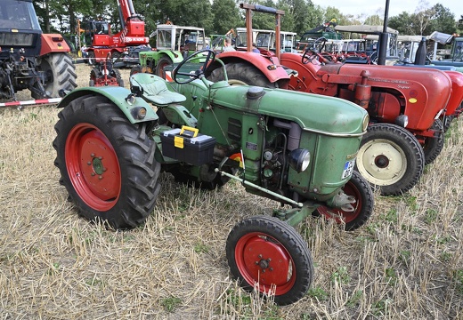  DSQ4488