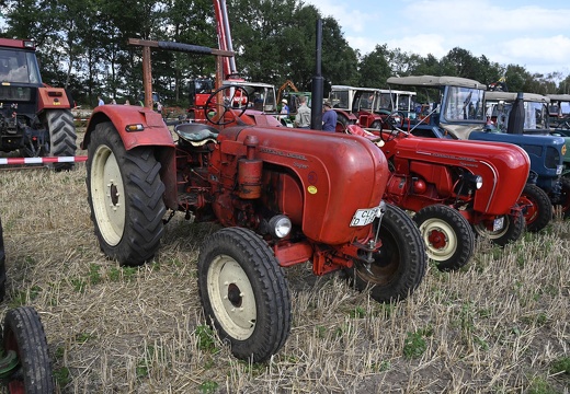  DSQ4489