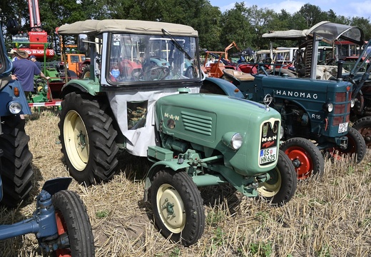  DSQ4494