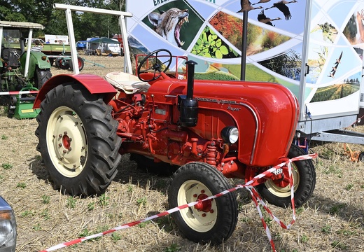  DSQ4499