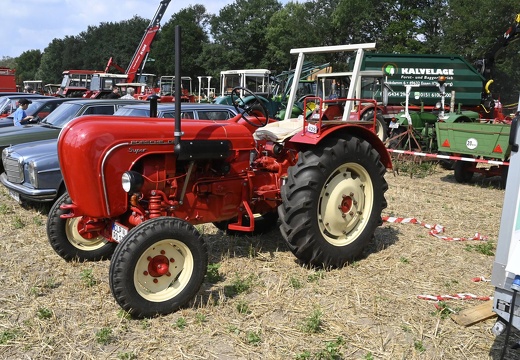  DSQ4534