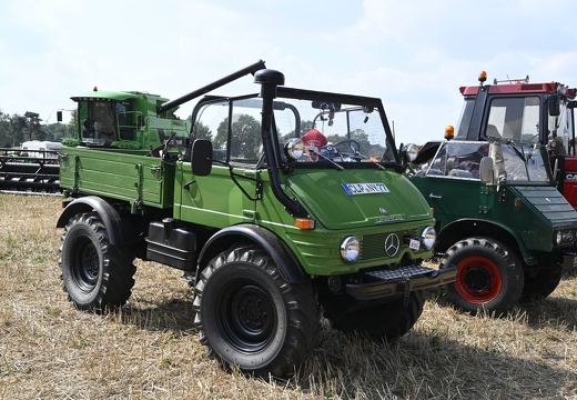  DSQ4536