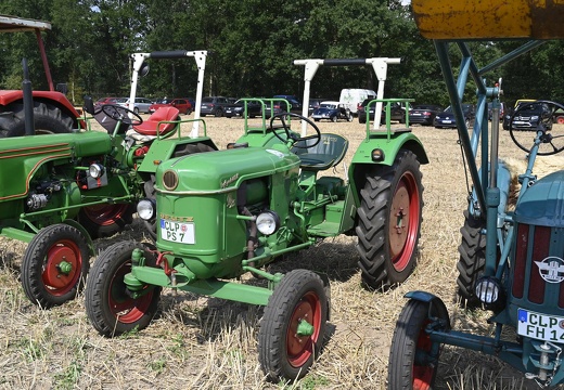  DSQ4546